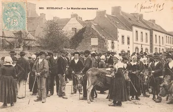 carte postale LE MARCHE AUX BESTIAUX Finistère 1905 019950 Photo