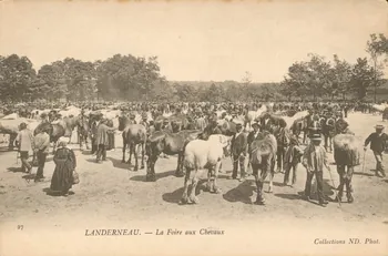 carte postale LA FOIRE AUX CHEVAUX Finistère 1903-1920 019954 Photo