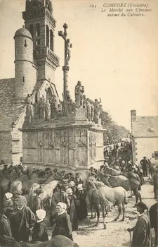 carte postale LE MARCHE AUX CHEVAUX Finistère 1903-1920 019957 Photo