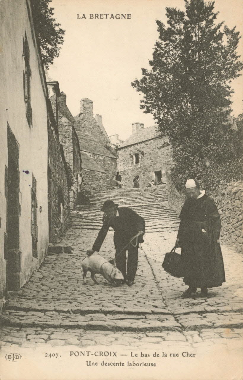 carte postale LE BAS DE LA RUE CHER Finistère 1903-1920 019972 Photo
