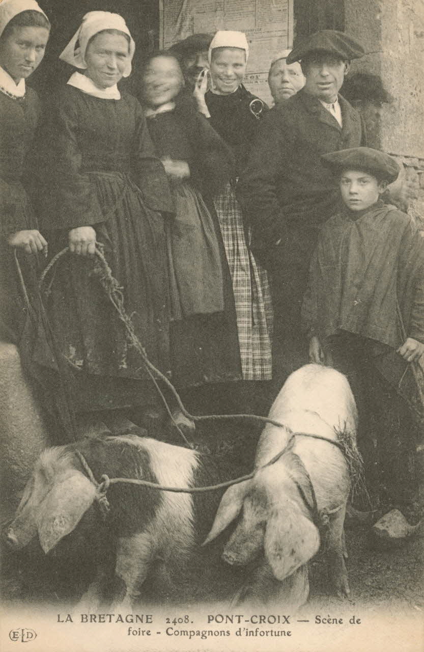 carte postale SCENE DE FOIRE Finistère 1903-1920 019973 Photo