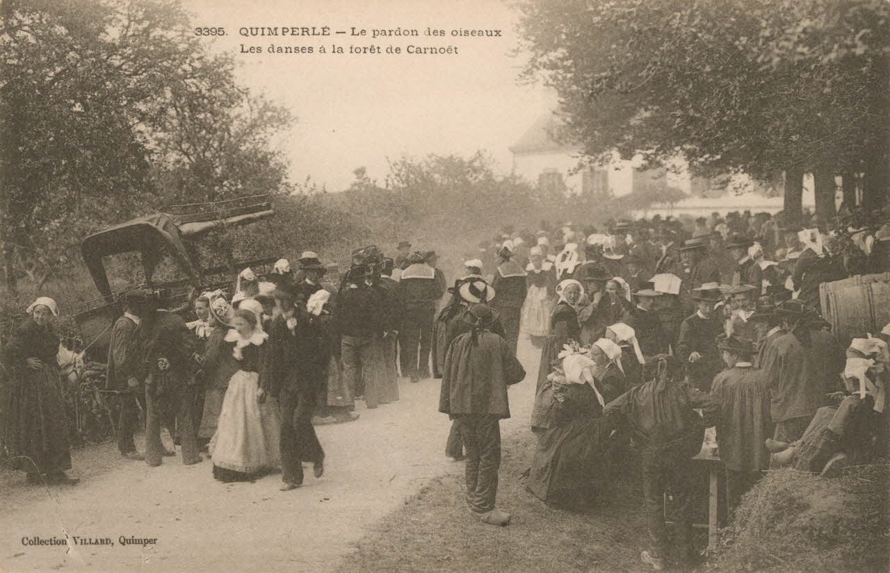 carte postale LE PARDON DES OISEAUX Finistère 1903-1920 020309 Photo