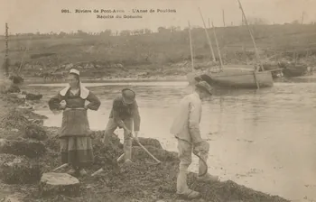 carte postale RECOLTE DU GOEMON Finistère 1903 020388 Photo