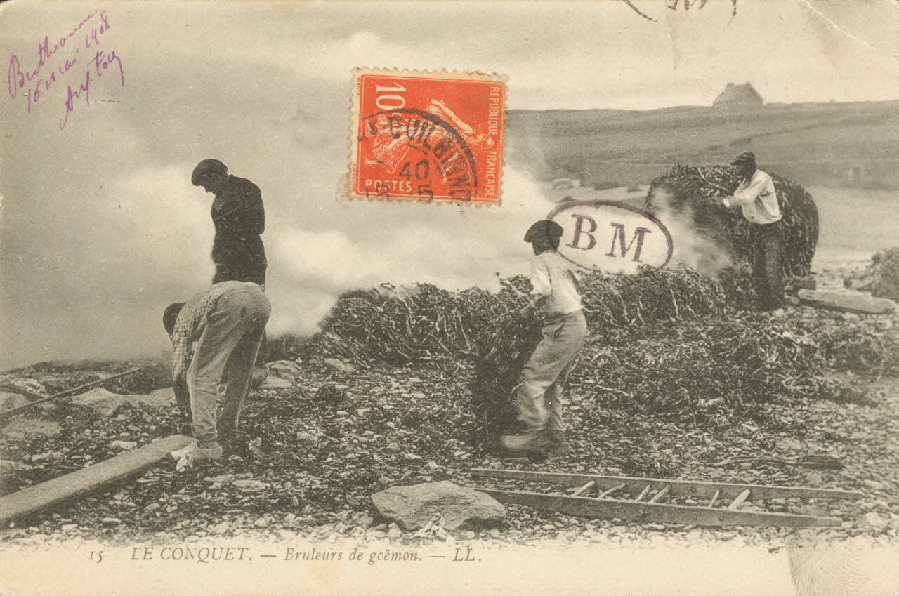 carte postale BRULEURS DE GOEMON Finistère 1908 020389  Photo