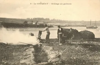 carte postale BRULAGE DU GOEMON Finistère 1911 020390  Photo