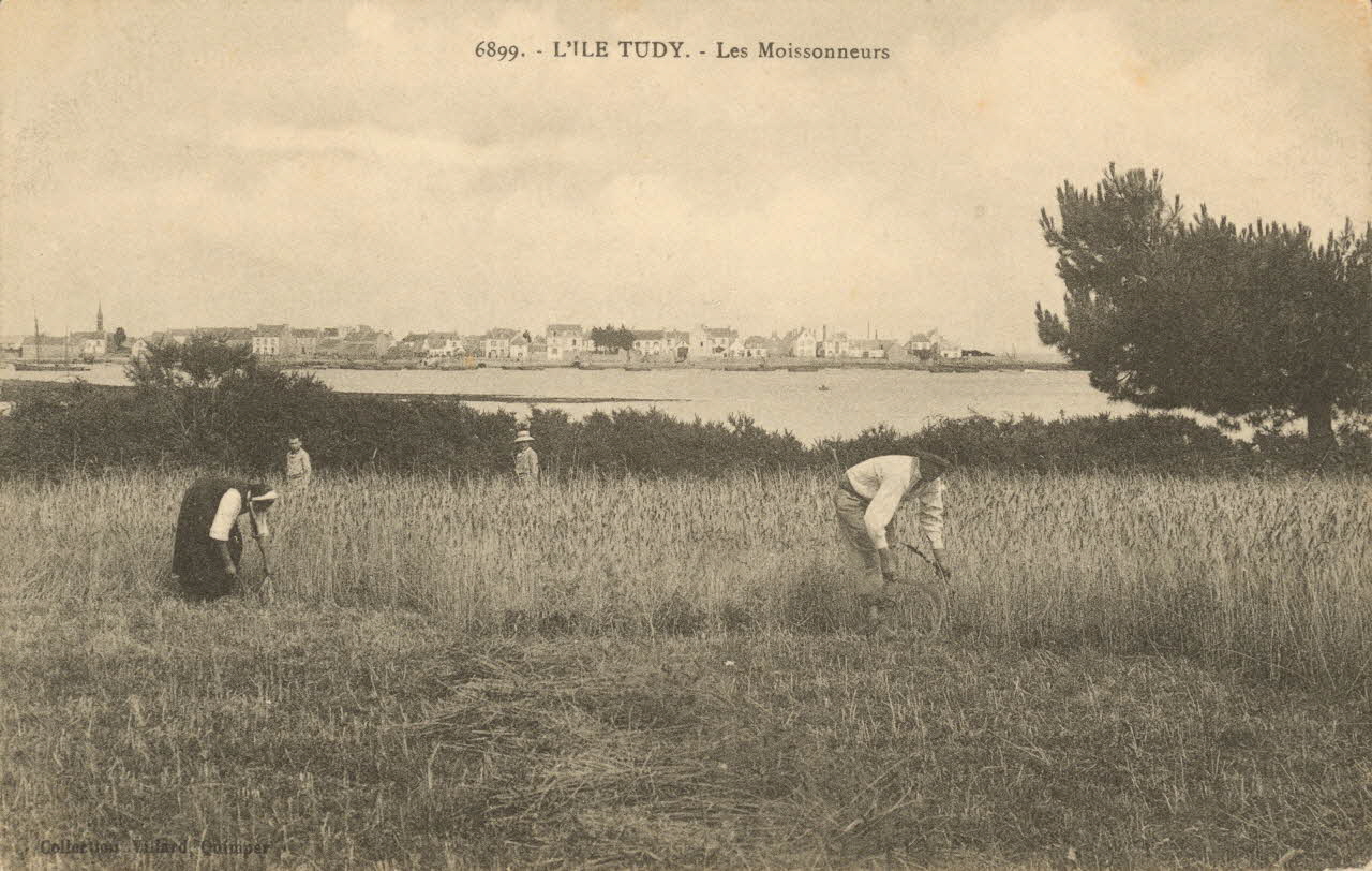 carte postale LES MOISSONNEURS Finistère 1903-1920 020394 Photo
