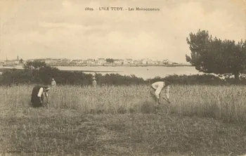 carte postale LES MOISSONNEURS Finistère 1903-1920 020394 Photo