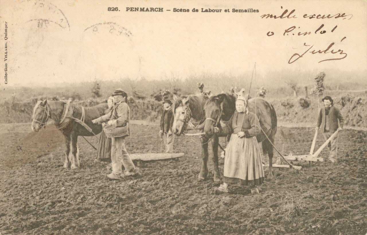 carte postale SCENE DE LABOUR ET SEMAILLES Finistère 1904 020398 Photo