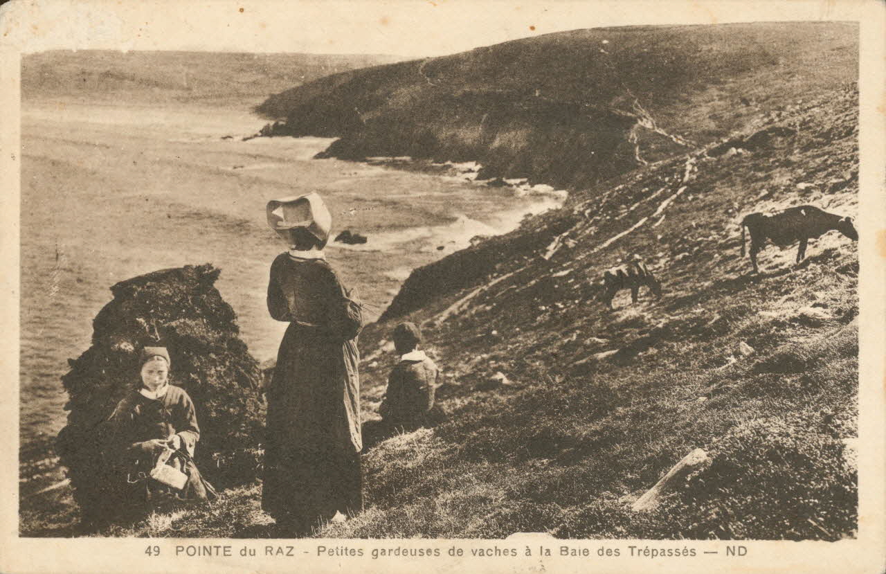 carte postale PETITES GARDEUSES DE VACHES Finistère 1903-1920 020399 Photo