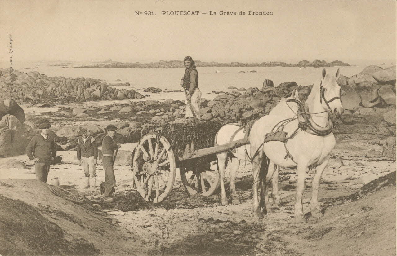 carte postale PLOUESCAT. LA GREUE DE FRONDEN Finistère 1903 020401 Photo