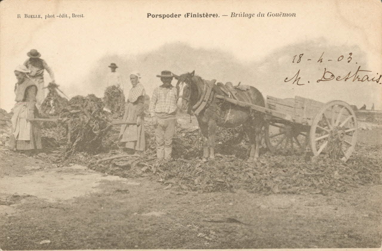 carte postale BRULAGE DU GOUEMON Finistère 1903 020407 Photo