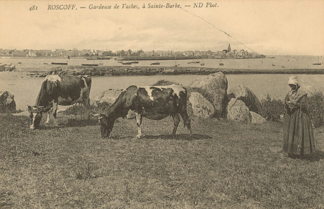 carte postale GARDEUSE DE VACHES A SAINTE-BARBE Finistère 1903-1920 020411 Photo