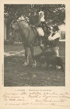 carte postale MARCHAND DE MOUTONS Finistère 1901 020415 Photo