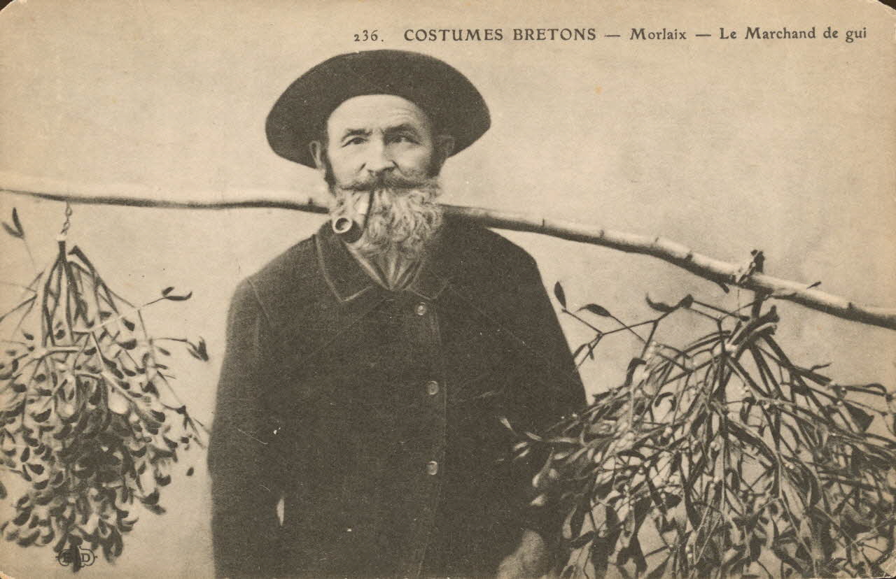 carte postale LE MARCHAND DE GUI Finistère 1913 020428 Photo