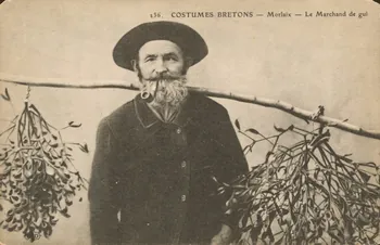 carte postale LE MARCHAND DE GUI Finistère 1913 020428  Photo