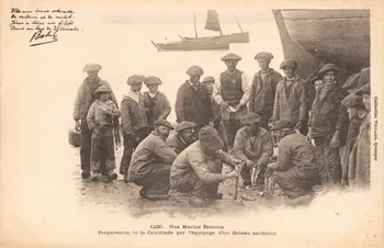 carte postale PREPARATION DE LA CAUTRIADE 1903 020511 Photo