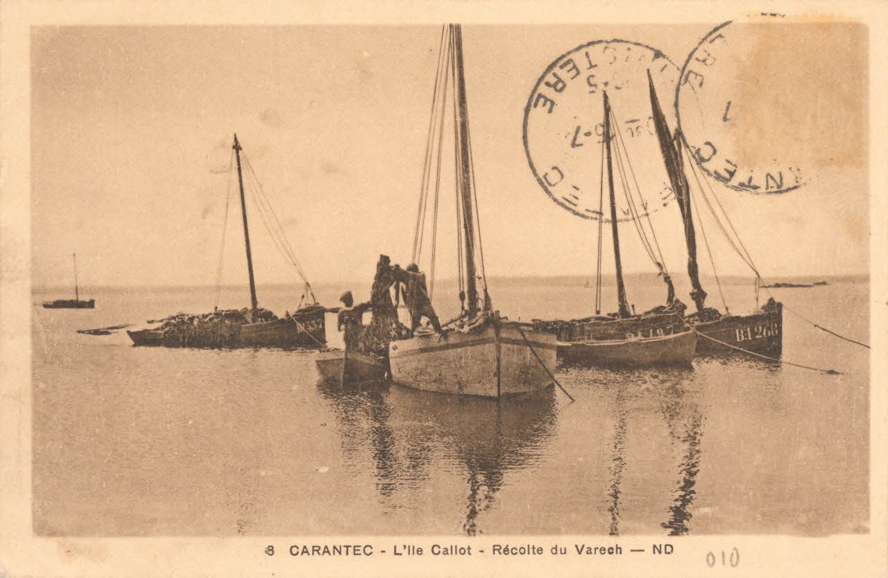 carte postale L'ILE CALLOT. RECOLTE DU VARECH Finistère 1903-1920 020535 Photo