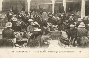 carte postale L'EPLUCHAGE A PRES REFROIDISSEMENT Finistère 1903-1920 020544  Photo