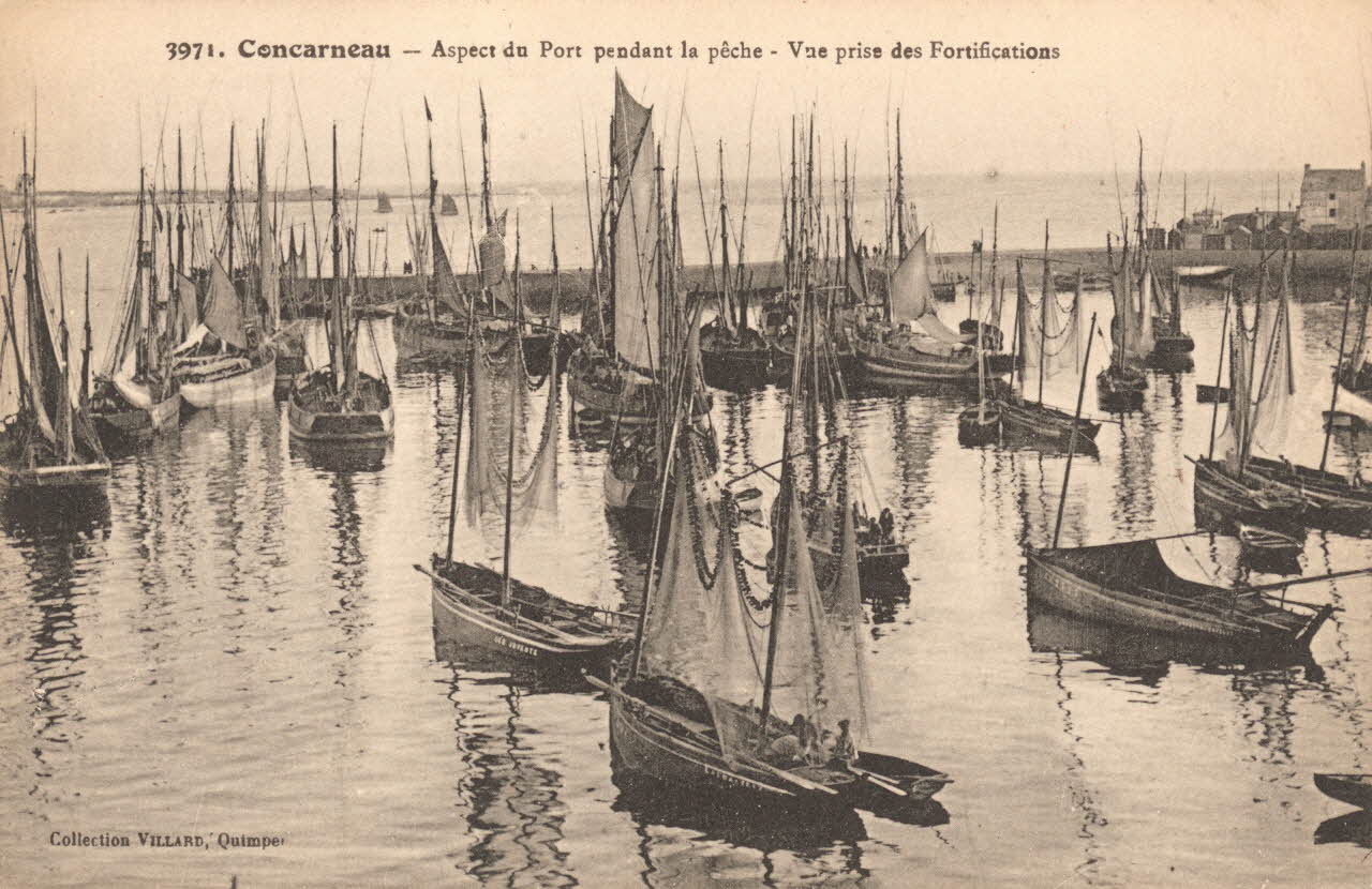 carte postale ASPECT DU PORT PENDANT LA PECHE Finistère 1903-1920 020548 Photo