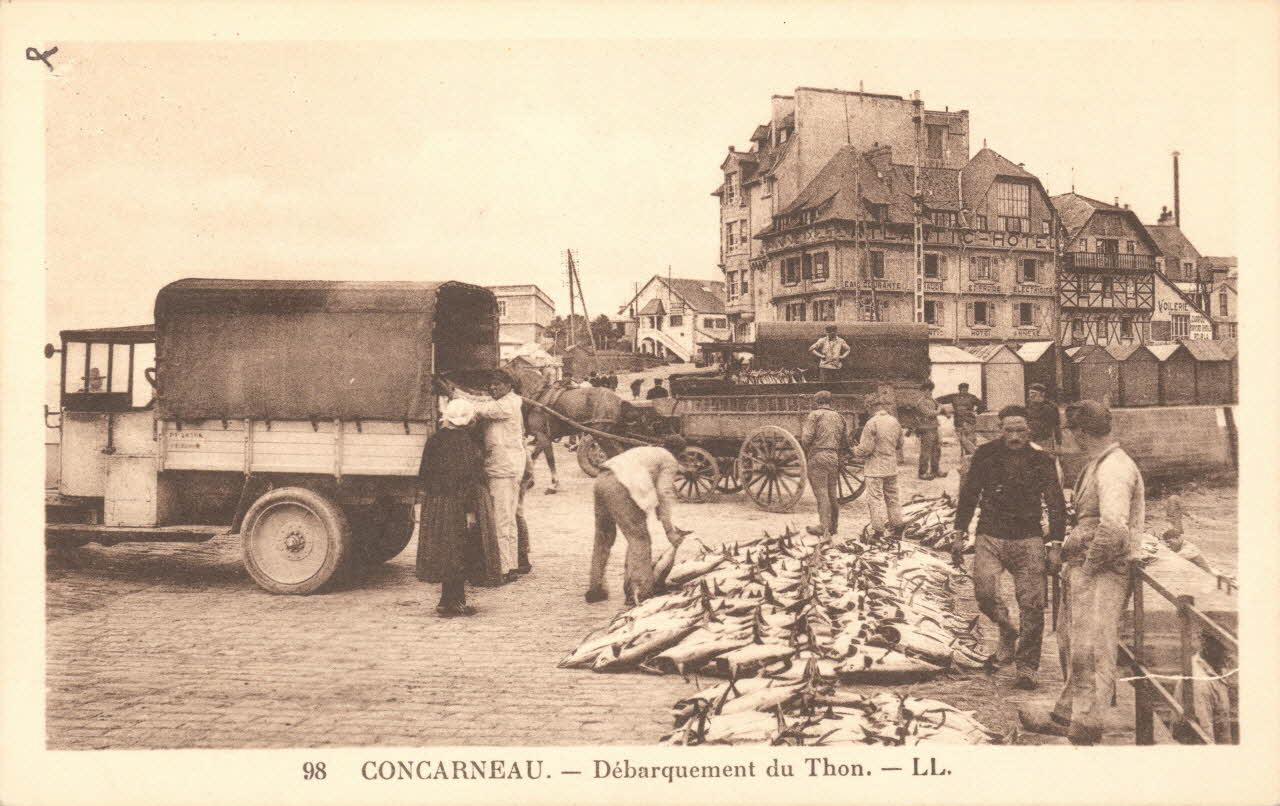 carte postale DEBARQUEMENT DU THON Finistère 1903-1920 020562 Photo