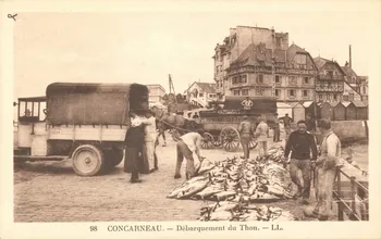 carte postale DEBARQUEMENT DU THON Finistère 1903-1920 020562  Photo