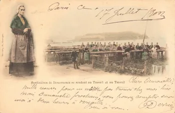 carte postale SARDINIERES DE DOUARNENEZ Finistère 1902 020598  Photo