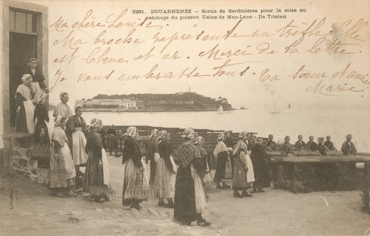 carte postale USINE DE MEN-LEON, SARDINIERES Finistère 1903 020602  Photo