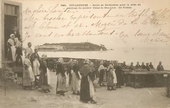 carte postale USINE DE MEN-LEON, SARDINIERES Finistère 1903 020602  Photo