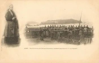 carte postale SARDINIERES DE DOUARNENEZ Finistère 1903 020603  Photo