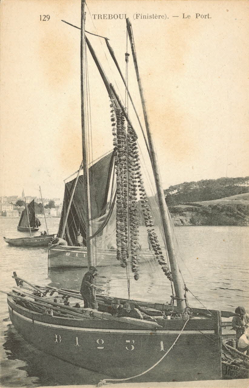 carte postale TREBOUL. LE PORT Finistère 1903-1920 020615 Photo
