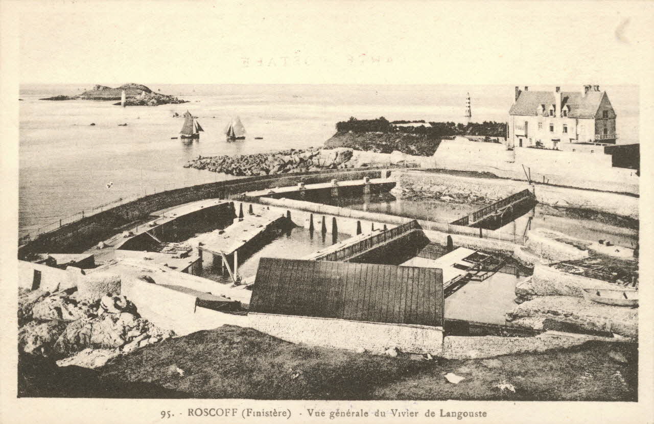 carte postale VIVIER DE LANGOUSTE Finistère 1903-1920 020640 Photo