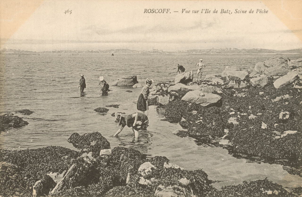 carte postale VUE DE L'ILE DE BATZ, LA PECHE Finistère 1903-1920 020712 Photo