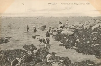 carte postale VUE DE L'ILE DE BATZ, LA PECHE Finistère 1903-1920 020712  Photo