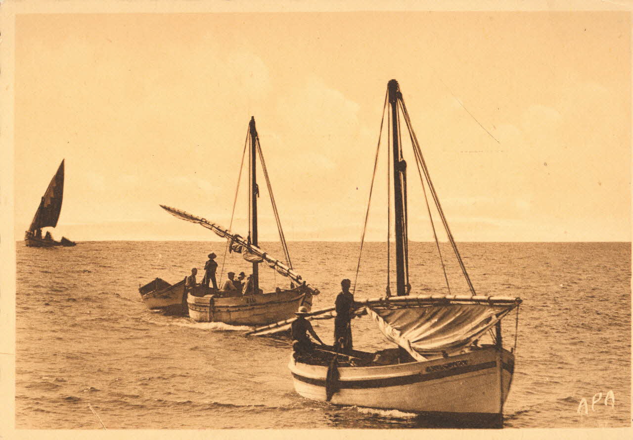 carte postale LA PECHE AUX THONS Gard 1921-1950 021908 Photo