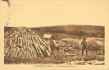 carte postale LES CHARBONNIERES Gard 1921-1950 021919 Photo