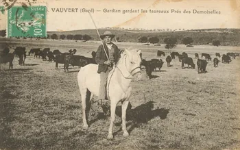 carte postale GARDIAN GARDANT LES TAUREAUX Gard 1923 021936 Photo