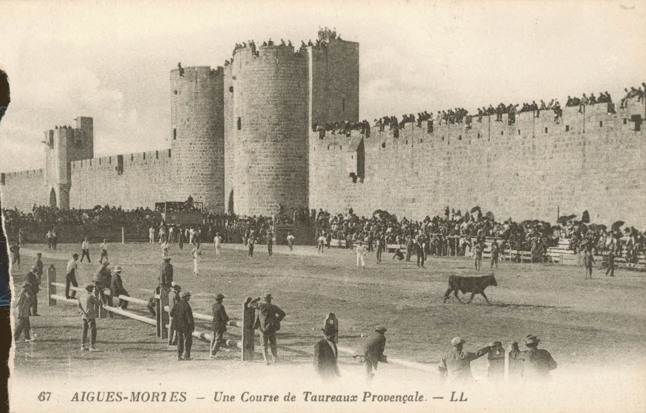 carte postale COURSE DE TAUREAUX PROVENCALE Gard 1903-1920 021937 Photo