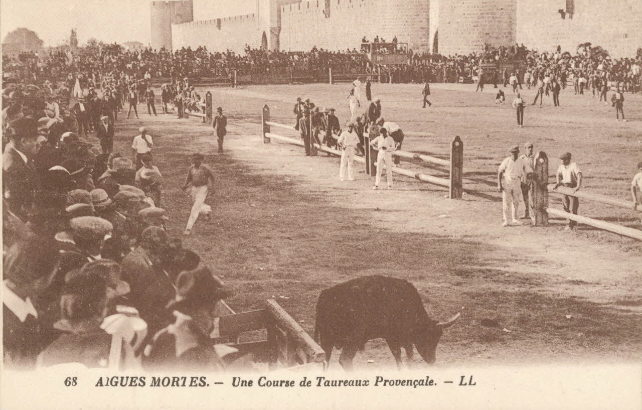 carte postale COURSE DE TAUREAUX PROVENCALE Gard 1903-1950 021938 Photo