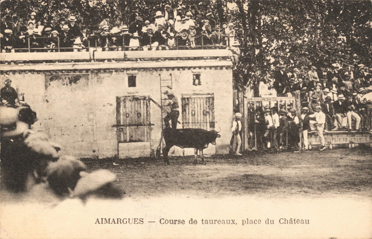 carte postale COURSE DE TAUREAUX Gard 1930 021940 Photo