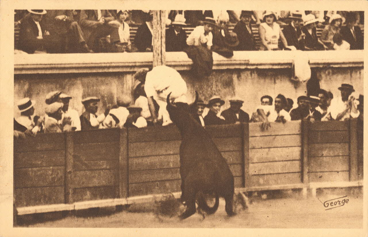 carte postale POURSUITE DE "L'ORPHELIN" REGNIER Gard 1921-1950 021944 Photo