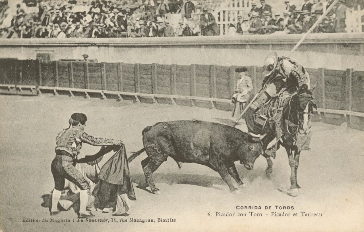 carte postale PICADOR ET TAUREAU Gard 1903-1950 021948 Photo