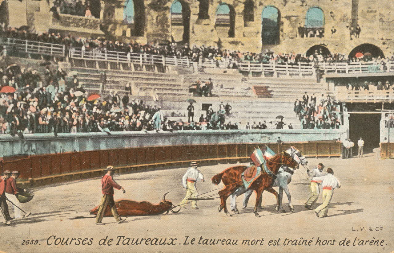 carte postale LE TAUREAU TRAINE HORS DE L'ARENE Gard 1903-1920 021954 Photo