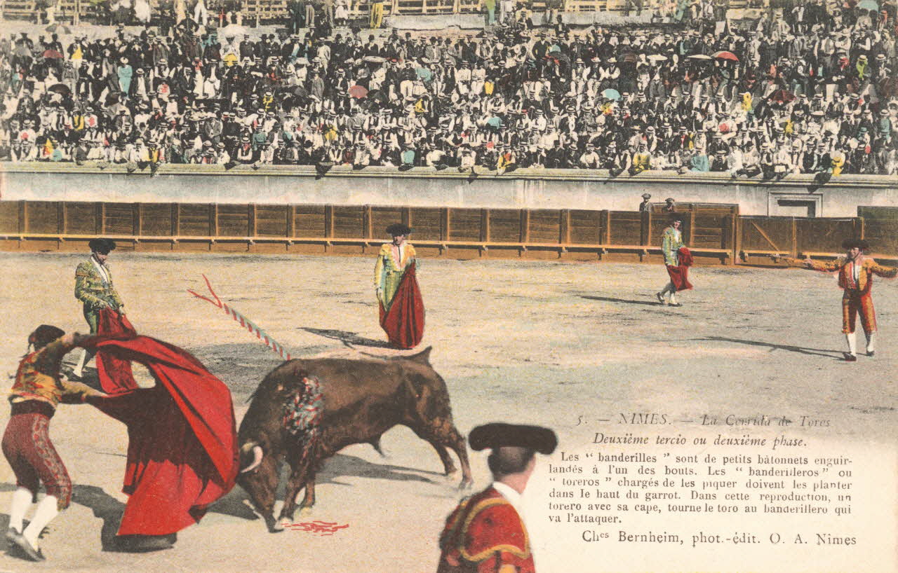 carte postale DEUXIEME TERCIO OU DEUXIEME PHASE Gard 1903-1920 021961 Photo