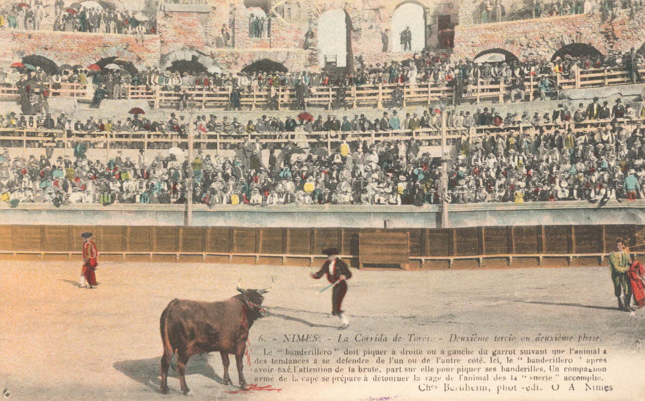 carte postale DEUXIEME TERCIO OU DEUXIEME PHASE Gard 1903-1920 021962 Photo