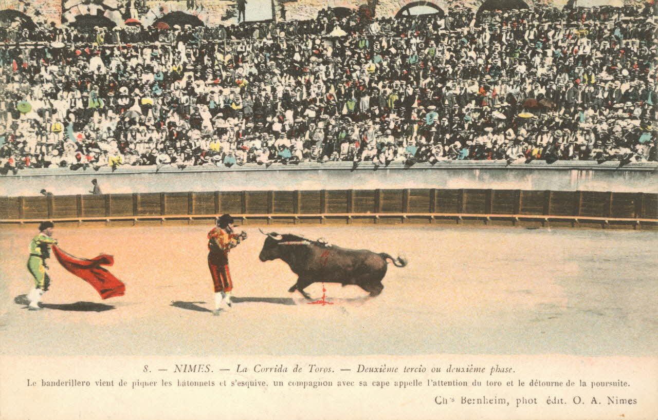 carte postale DEUXIEME TERCIO OU DEUXIEME PHASE Gard 1903-1920 021964 Photo