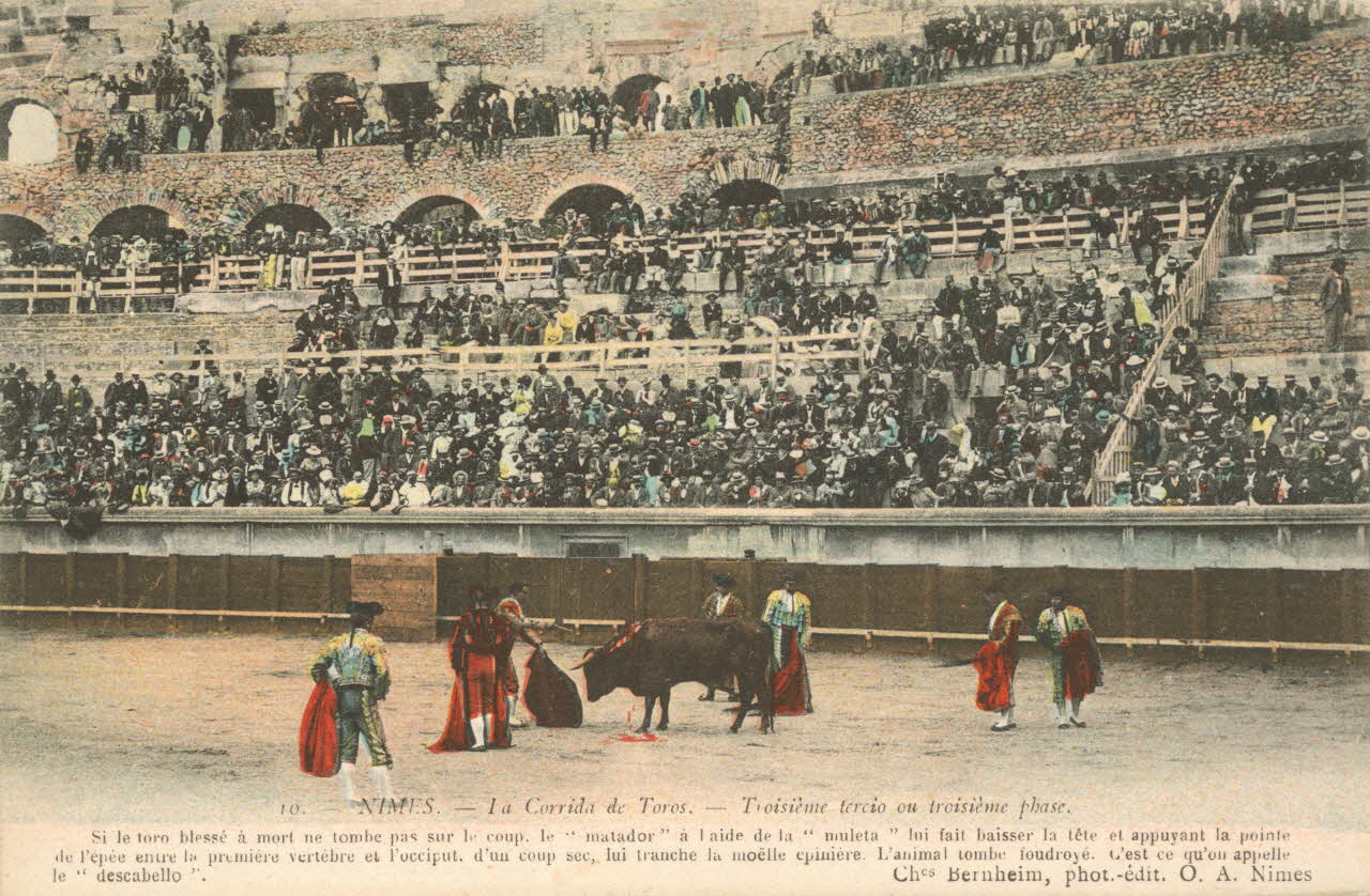 carte postale TROISIEME TERCIO, TROISIEME PHASE Gard 1903-1920 021965 Photo