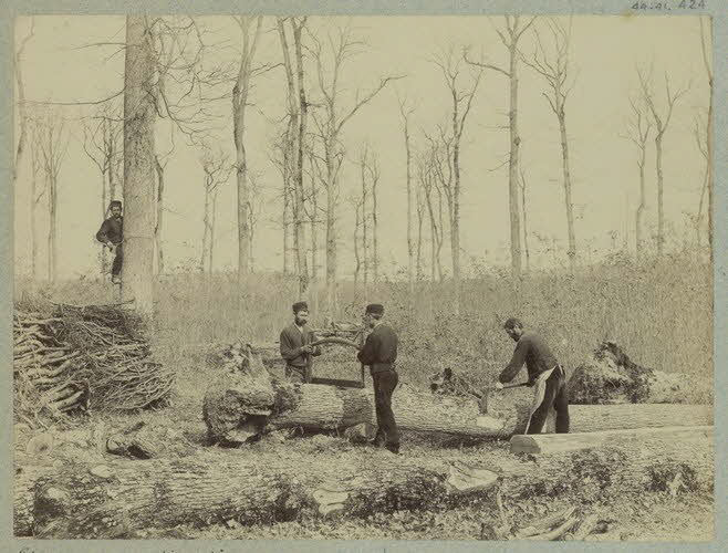 Douchement ; Louis-Frédéric Mahot De La Querantonnais photographie Album n°4 du Musée d'ethnographie du Trocadéro Centre, France 1875-1899 Ph.1944.41.424 Photo