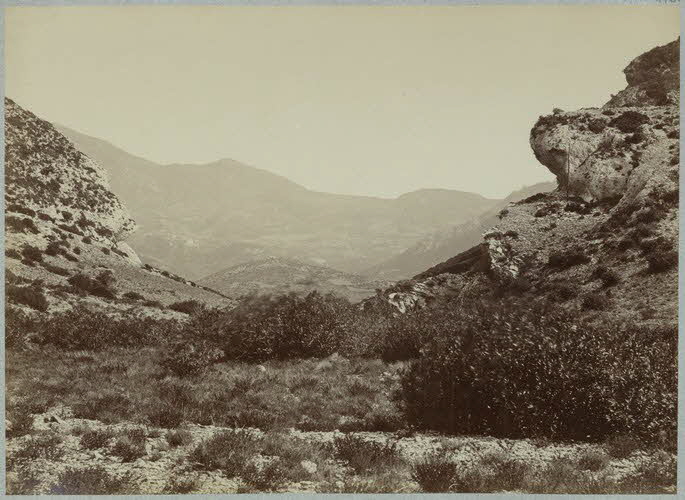 Miguel Aleo photographie Album n°5 du Musée d'ethnographie du Trocadéro Corse, France 1875-1899 Ph.1944.41.473 Photo