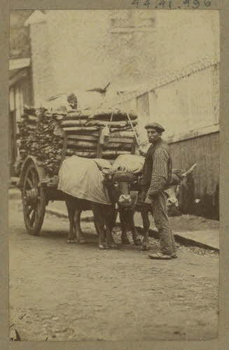 Anonyme photographie Album n°5 du Musée d'ethnographie du Trocadéro Aquitaine, France 1875-1899 Ph.1944.41.496 Photo