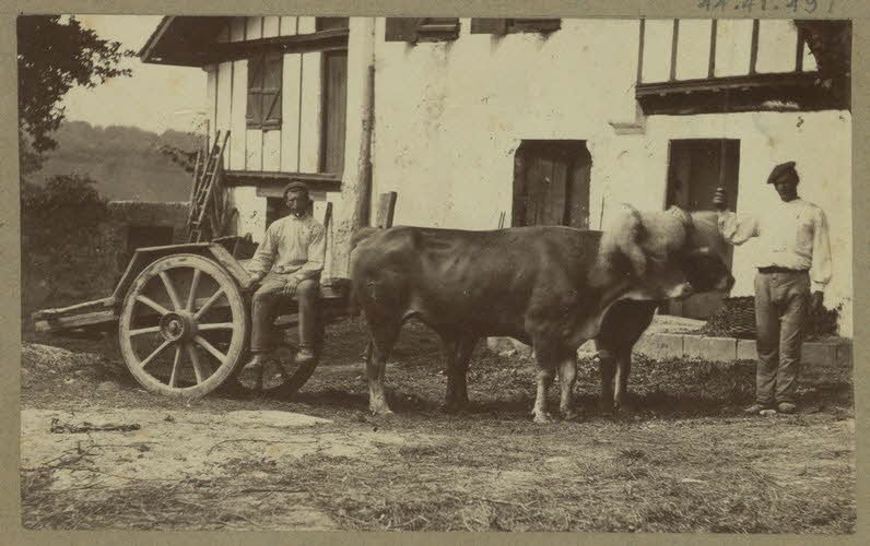 Anonyme photographie Album n°5 du Musée d'ethnographie du Trocadéro Aquitaine, France 1875-1899 Ph.1944.41.497 Photo